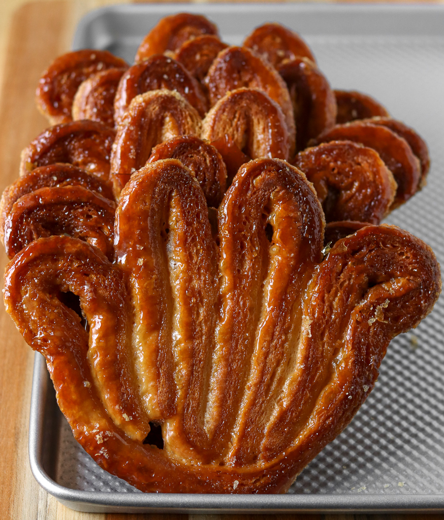 Palmiers